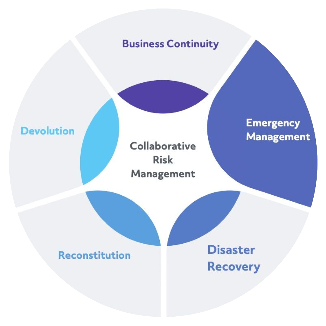 Emergency Management Diagram